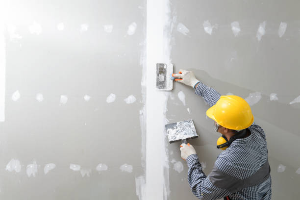  Ridgely, TN Mold Removal Pros