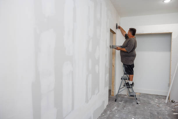 Best Emergency Mold Remediation  in Ridgely, TN