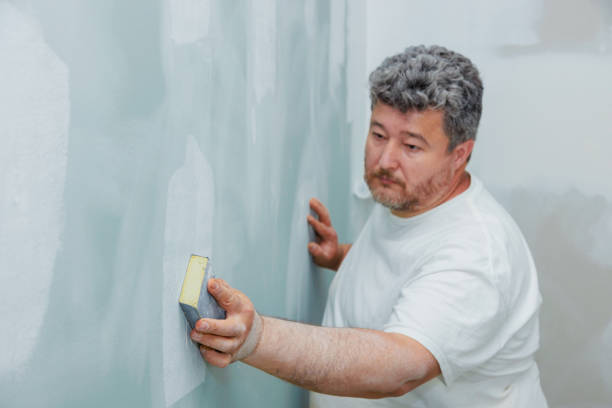 Best Environmental Consulting for Mold Prevention  in Ridgely, TN