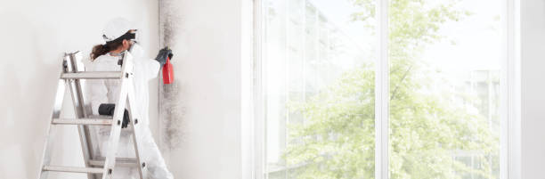 Best Mold-Related Health Consultation  in Ridgely, TN