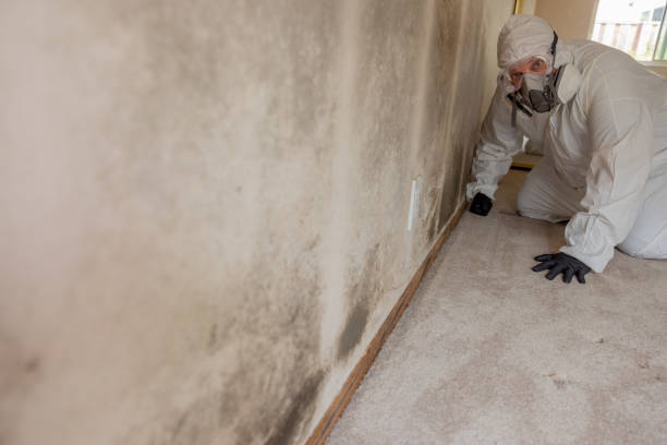 Forensic Mold Investigation in Ridgely, TN