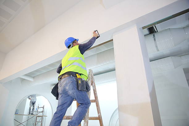 Best Mold Removal for HVAC Installations  in Ridgely, TN