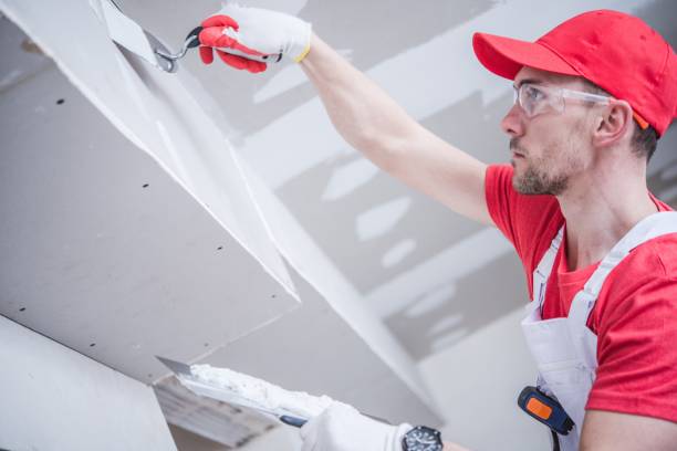 Best Post-Remediation Verification Testing  in Ridgely, TN
