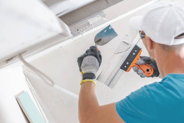 Best Attic Mold Removal  in Ridgely, TN